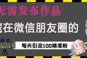 藏在微信朋友圈的流量密码，无需发布作品，单日引流100+精准创业粉【揭秘】