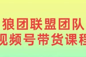 狼团联盟2024视频号带货，0基础小白快速入局视频号